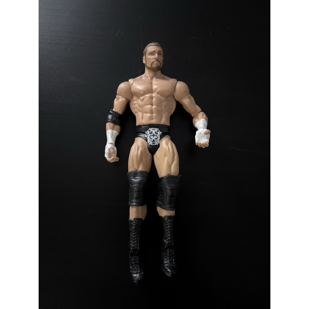 2011 Triple H HHH King of Kings Basic Action Figure Mattel WWE NXT‎
